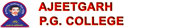 APG Logo